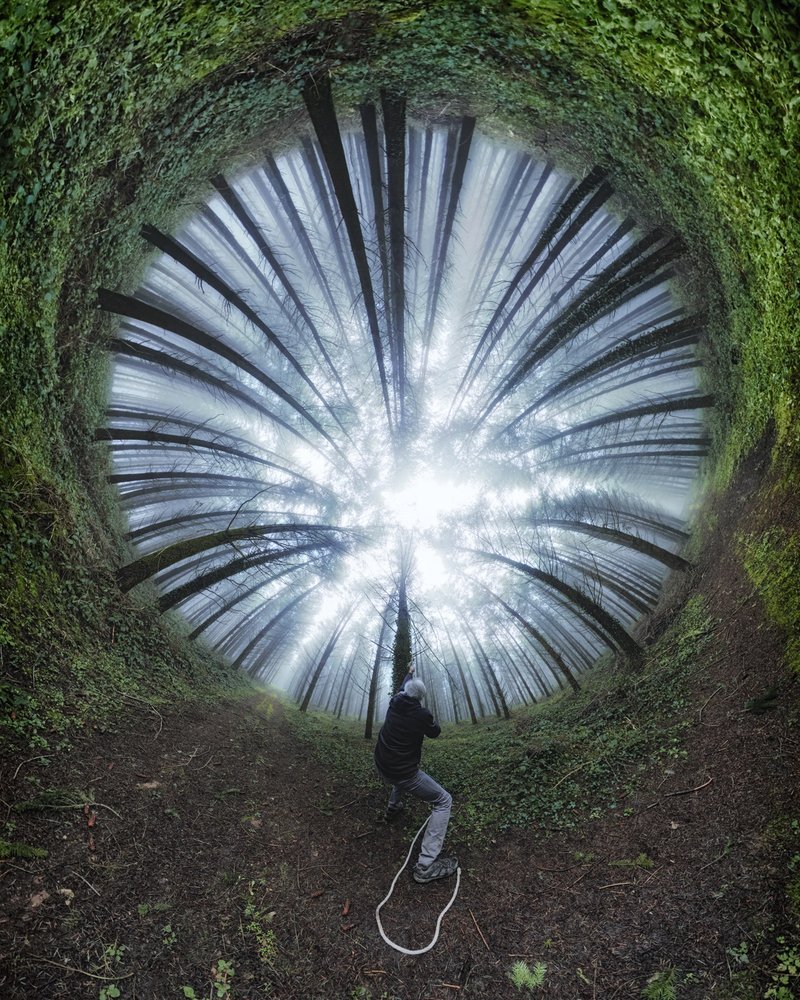 Spiral Forest Path by Francois Casanova