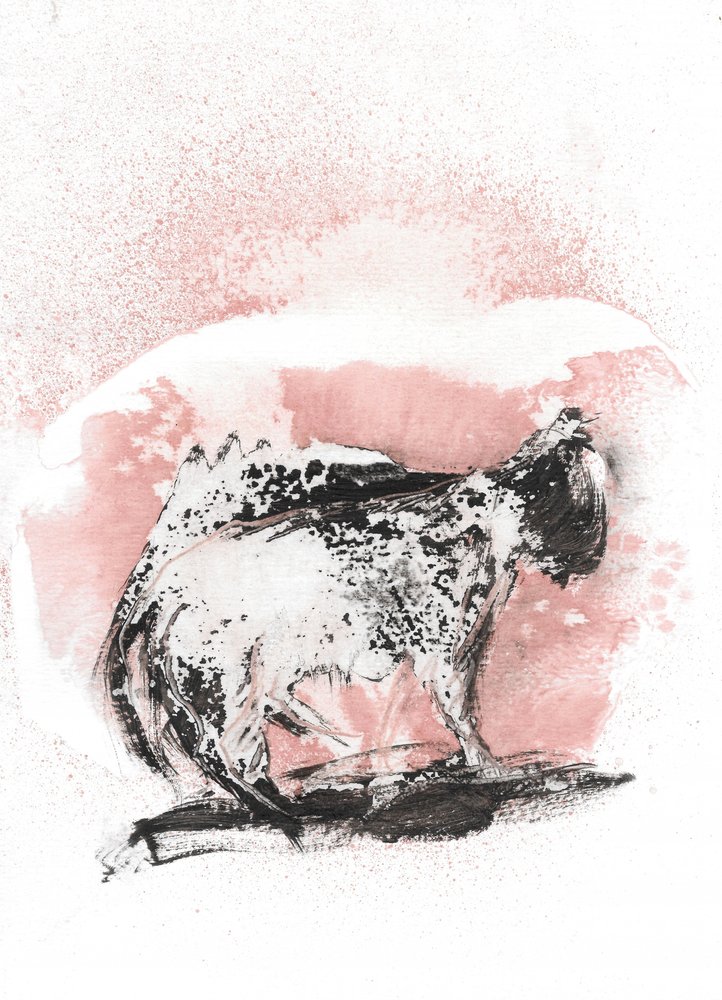 Dynamic Feline Sketch by Frederic Belaubre