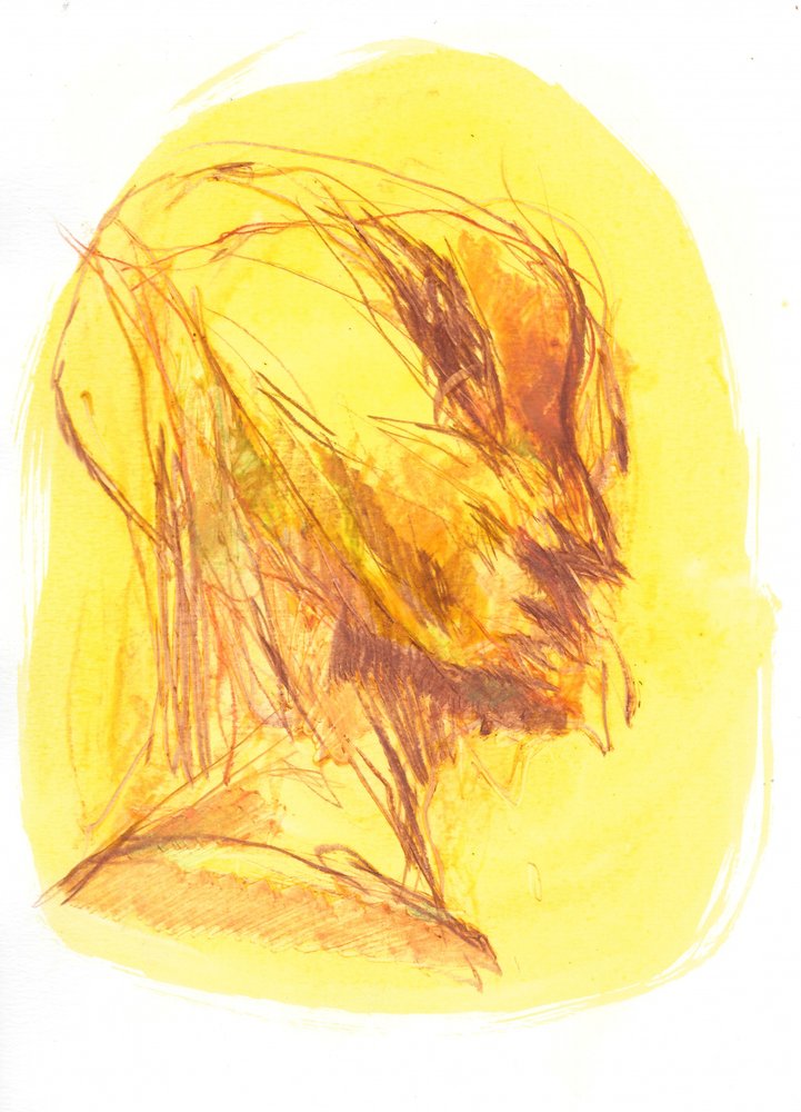 The Portrait 1 by Frederic Belaubre