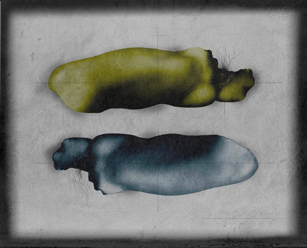 Organic Abstract Forms by Fuyuki Hattori