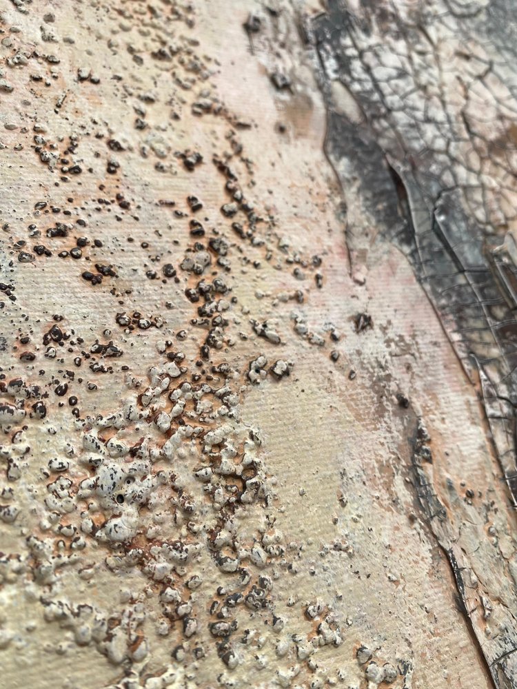 Weathered Organic Textures by Gabriela Aleksandra Szuba