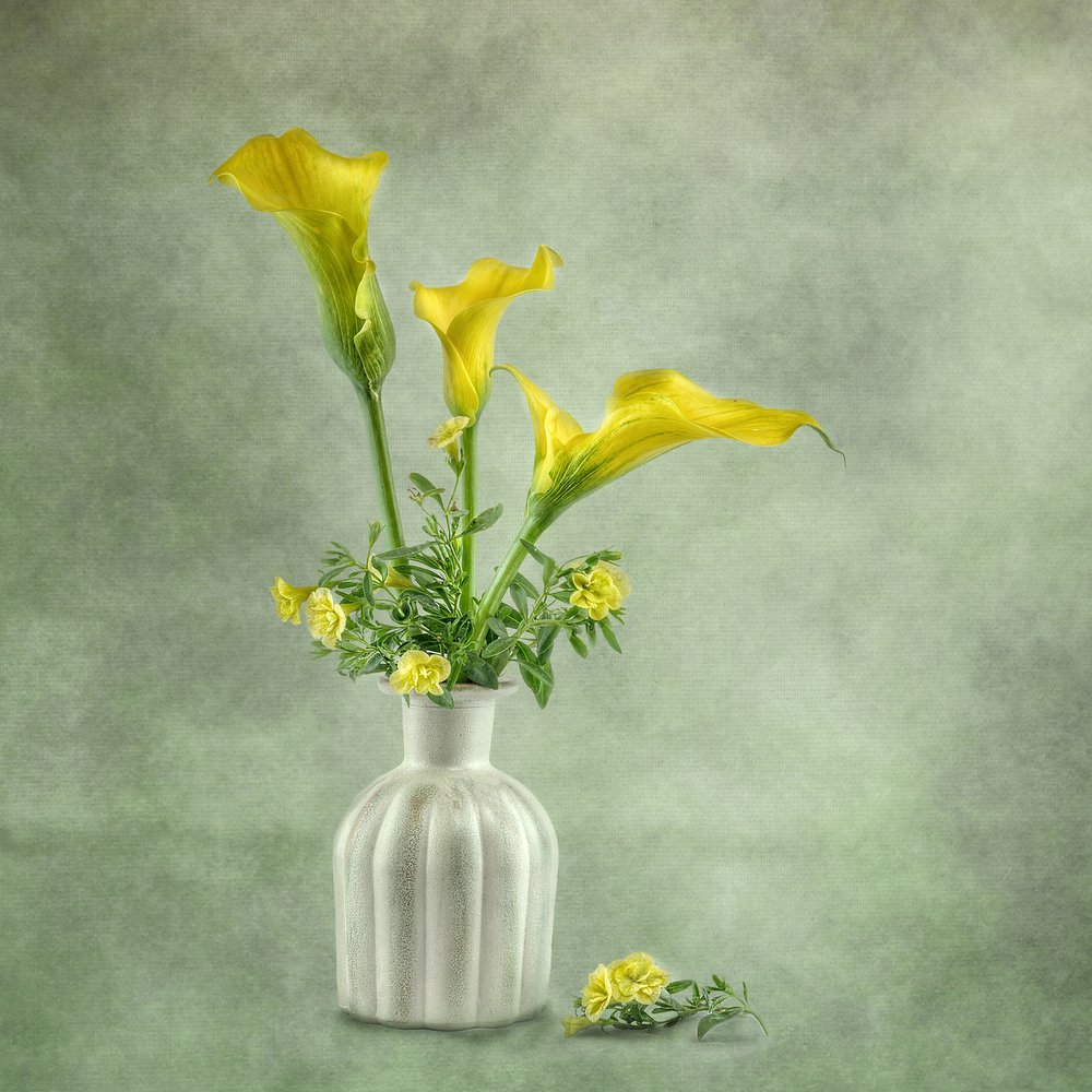 Soft Yellow Calla Lilies by Gaille Gray