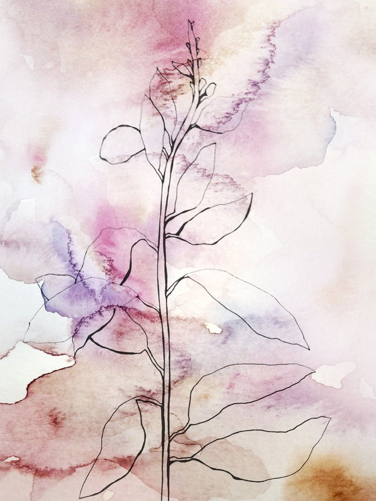 Pink Watercolor Botanical by Gemma Bardot