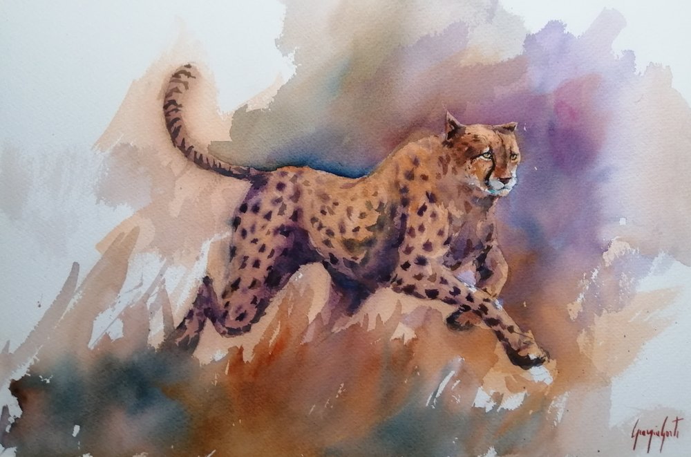 Dynamic Cheetah Run by Giorgio Gosti