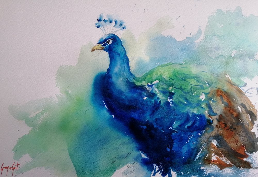 Elegant Blue Peacock by Giorgio Gosti