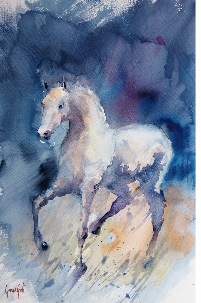 Graceful White Horse by Giorgio Gosti