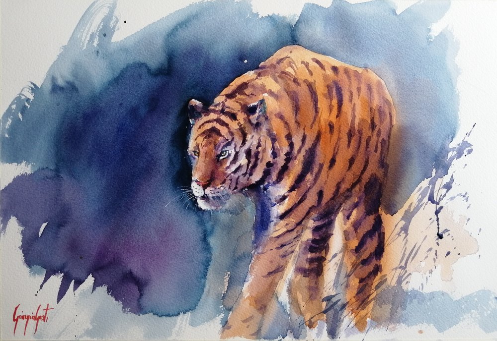 Majestic Tiger Stride by Giorgio Gosti