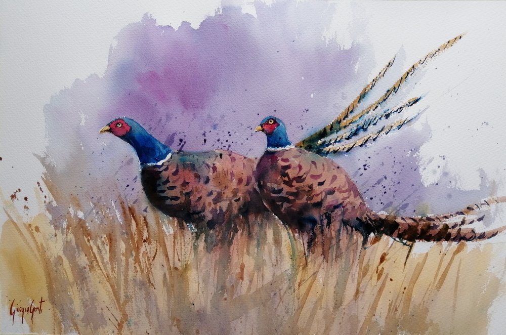 Pheasants Among Reeds by Giorgio Gosti