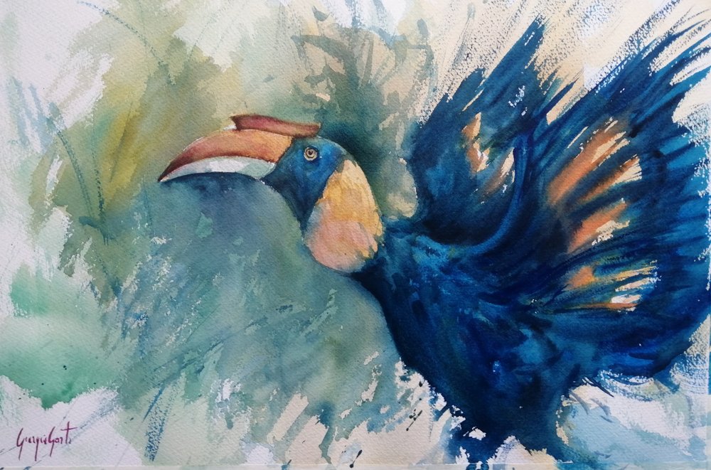 Tropical Blue Hornbill by Giorgio Gosti
