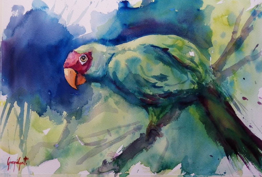 Tropical Green Parrot by Giorgio Gosti