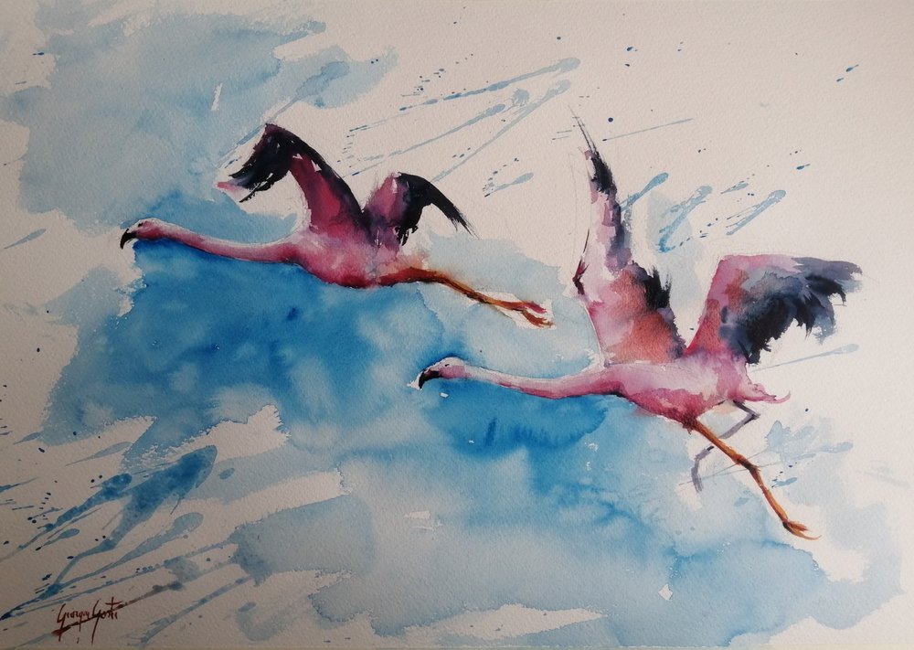 Vibrant Flamingo Flight by Giorgio Gosti