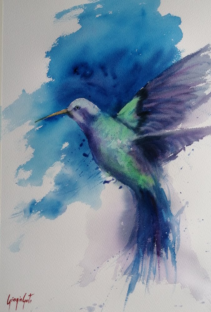 Vibrant Hummingbird Flight by Giorgio Gosti