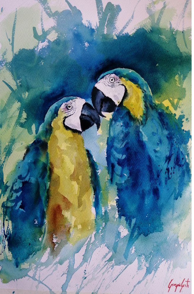 Vibrant Macaw Companions by Giorgio Gosti