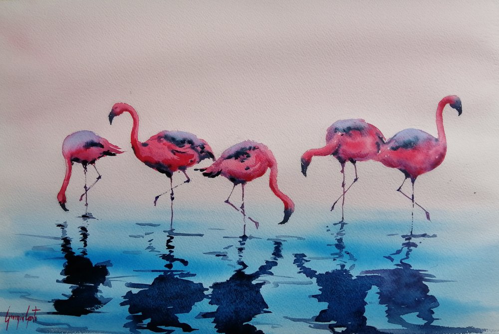 Wading Pink Flamingos by Giorgio Gosti
