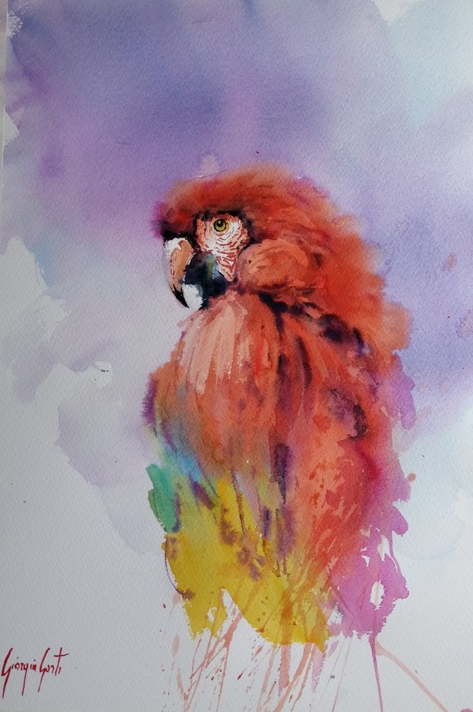 Parrot 2 by Giorgio Gosti