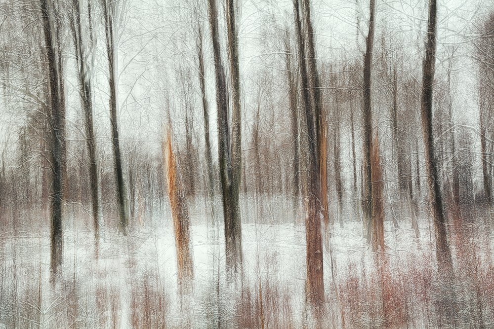 Abstract Winter Forest by Gustav Davidsson