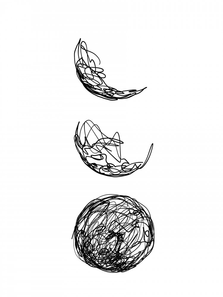 Abstract Scribble Forms by Hanna Lee Tidd