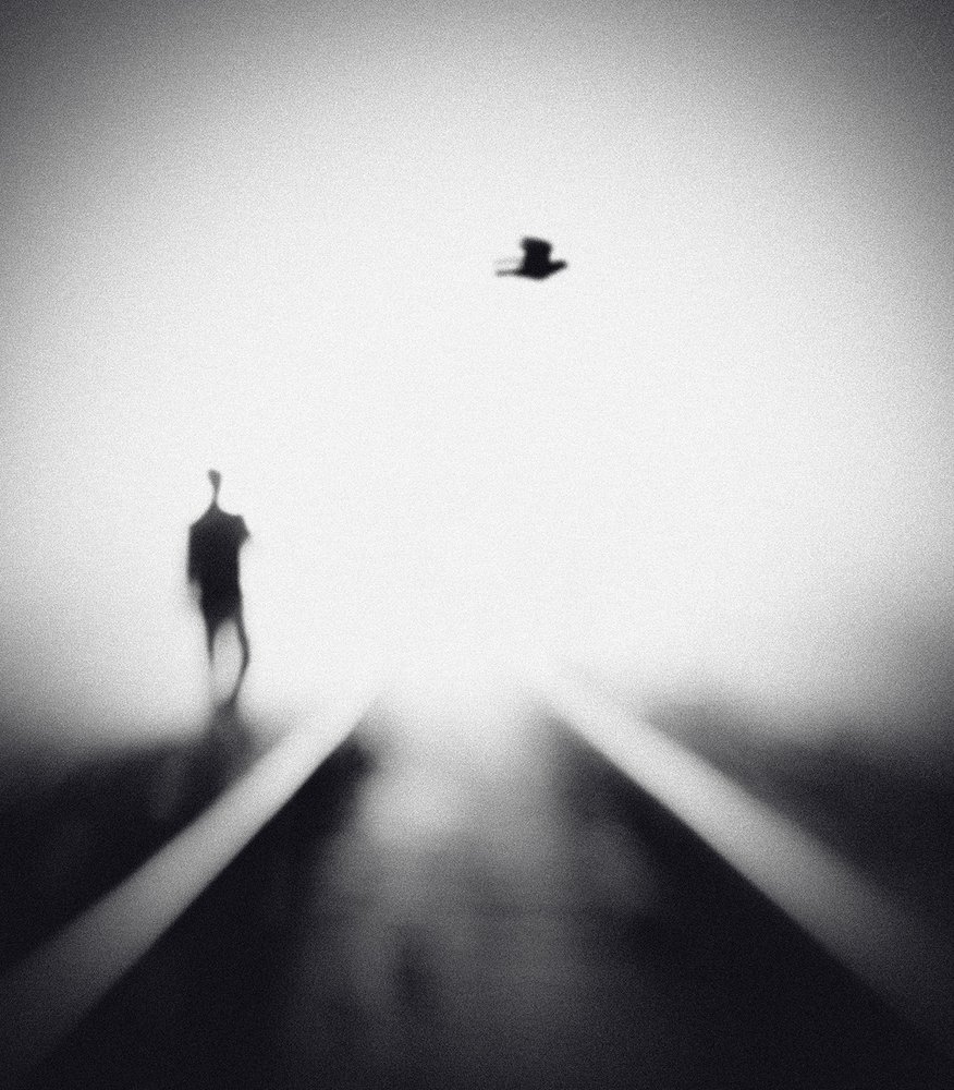 Solitary Man Flying Bird by Hengki Lee