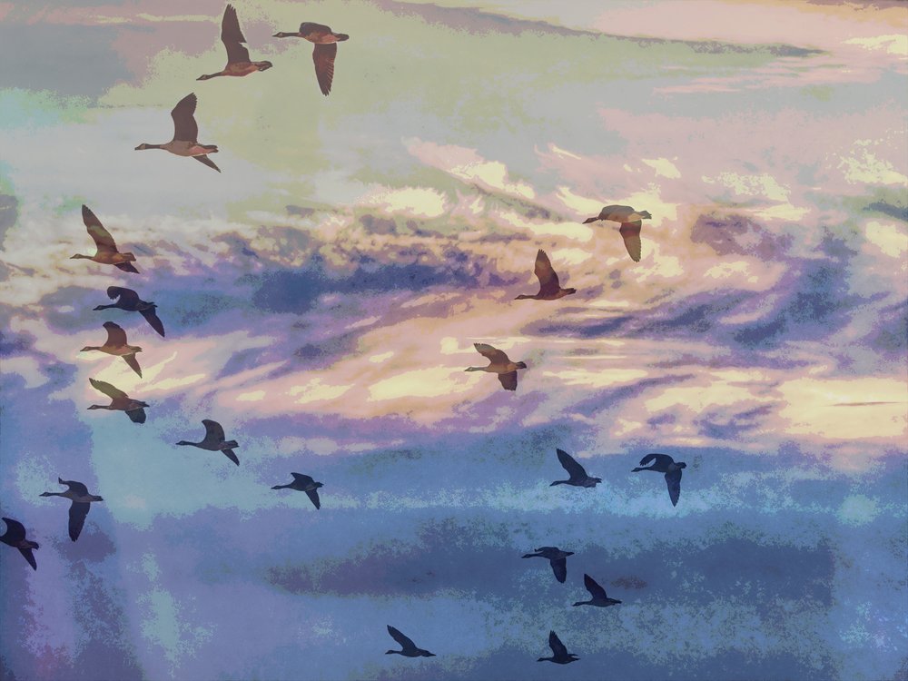 Flying Geese Sunset Sky by Ida Publishing