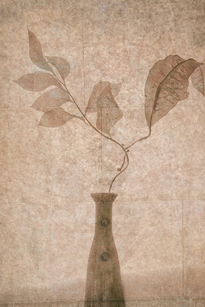 Delicate Sepia Botanicals by Igor Tokarev