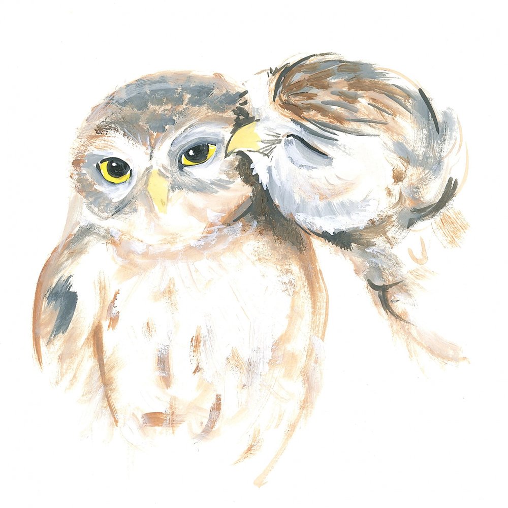 Affectionate Owls by Isabelle Brent