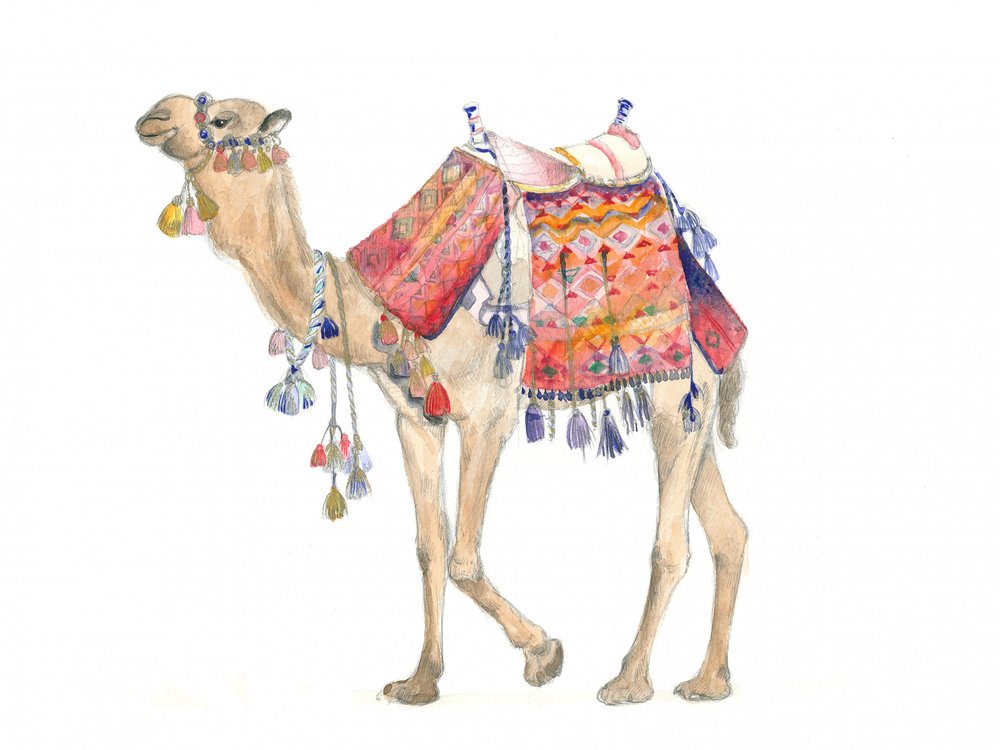 Desert Elegance by Isabelle Brent