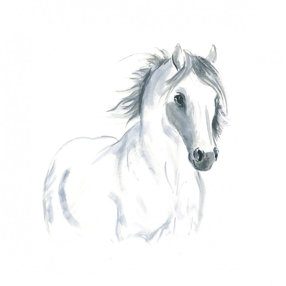 Horse in Movement Study by Isabelle Brent