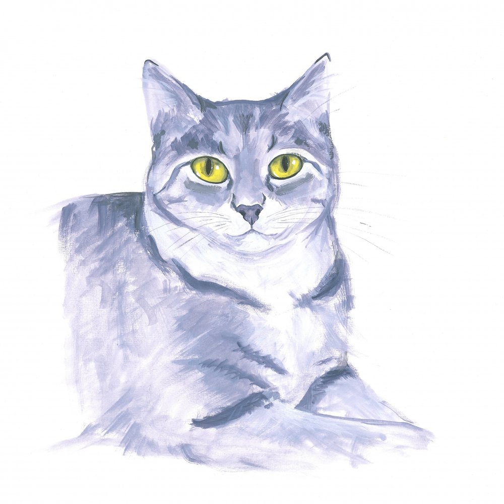 Observant Cat by Isabelle Brent