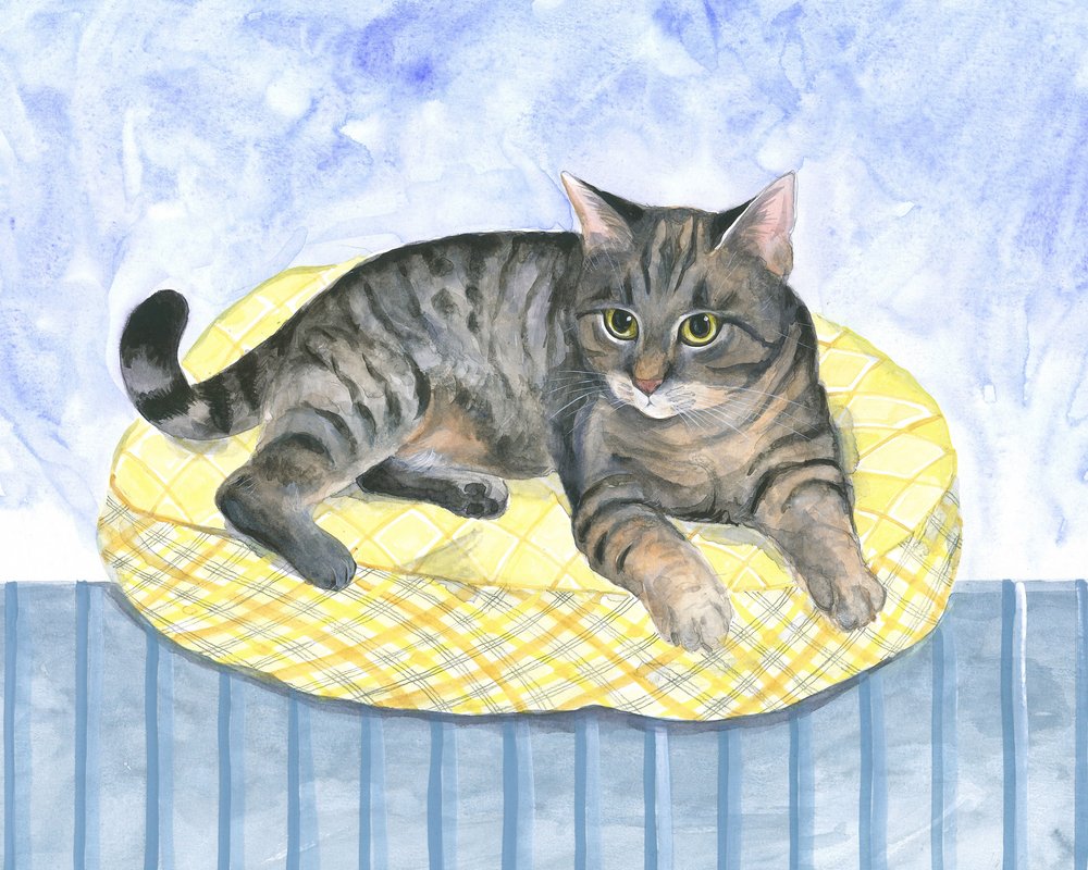 Pillow Cat by Isabelle Brent