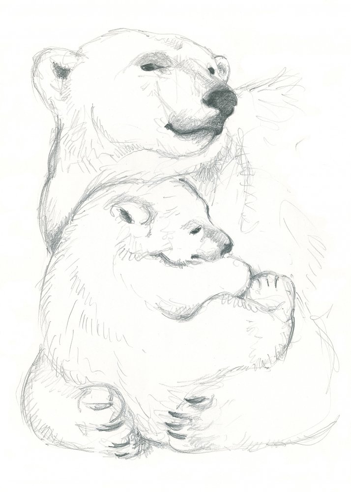 Polar Bear and Cub Drawing by Isabelle Brent