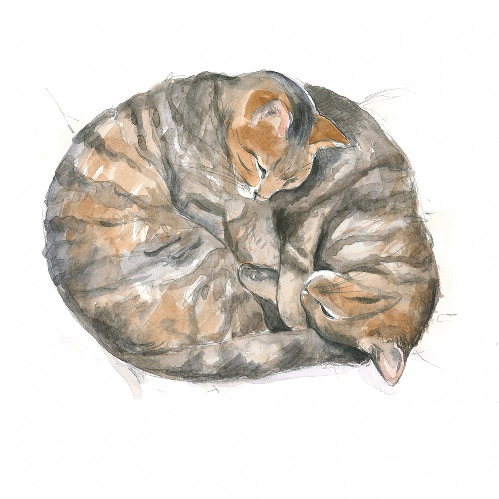 Round Cats by Isabelle Brent