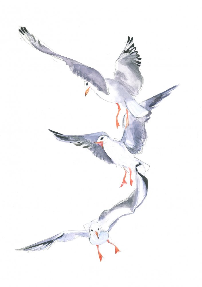 Seagull Flight by Isabelle Brent