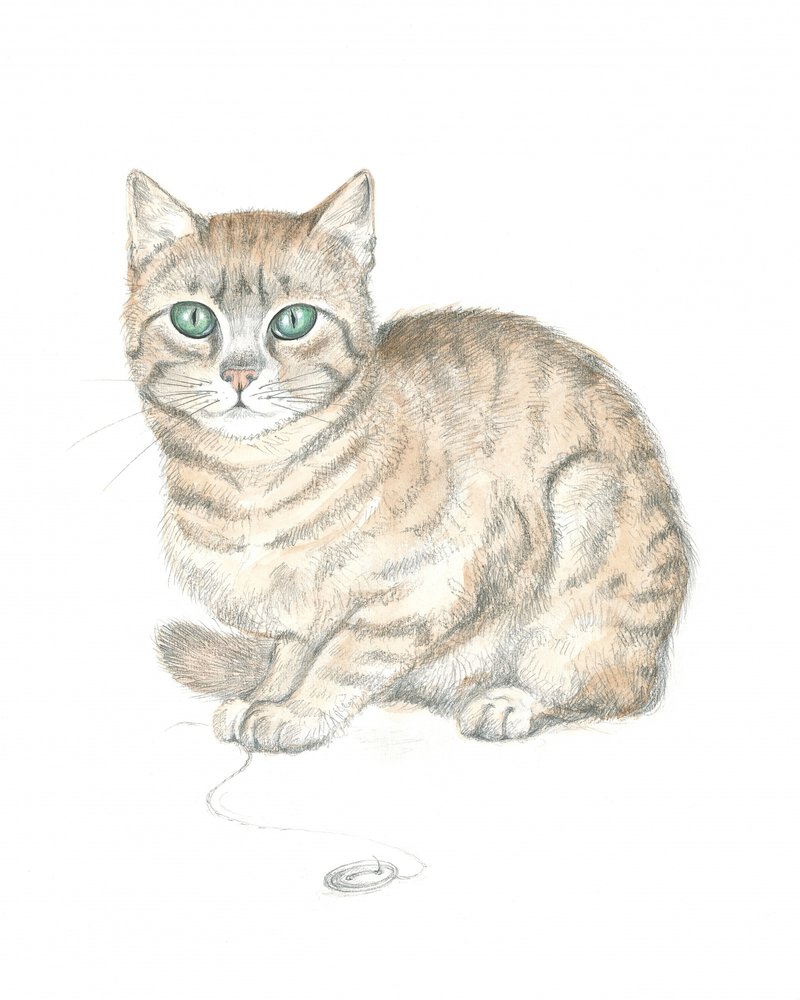 Tabby Cat and Button by Isabelle Brent