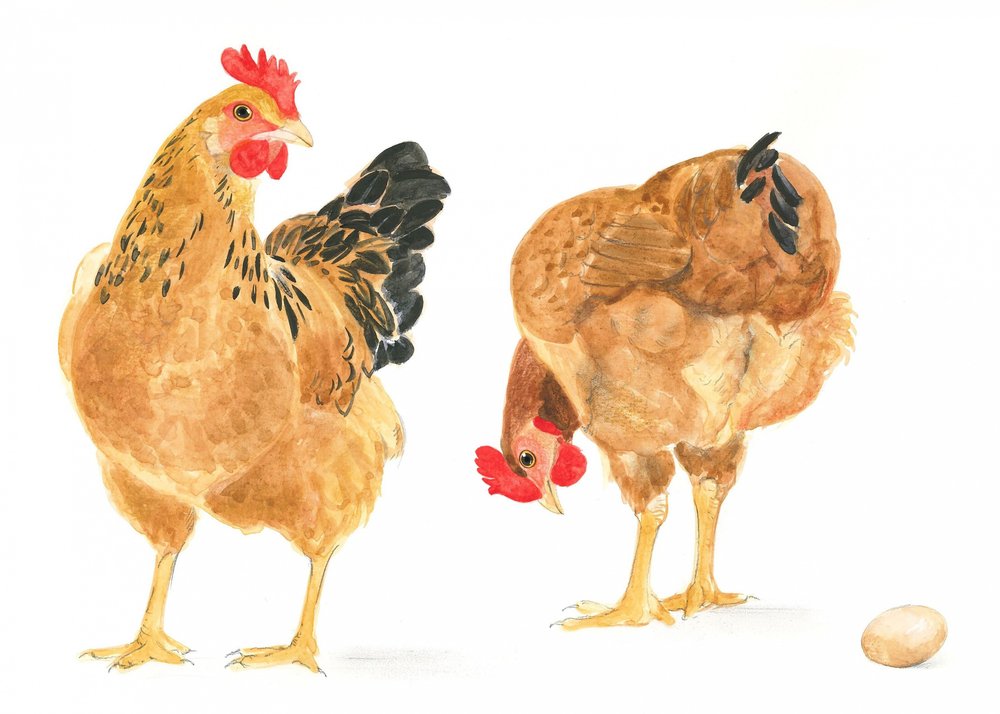 The Egg and Two Hens by Isabelle Brent
