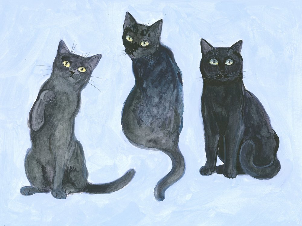 Study of Three Cats by Isabelle Brent