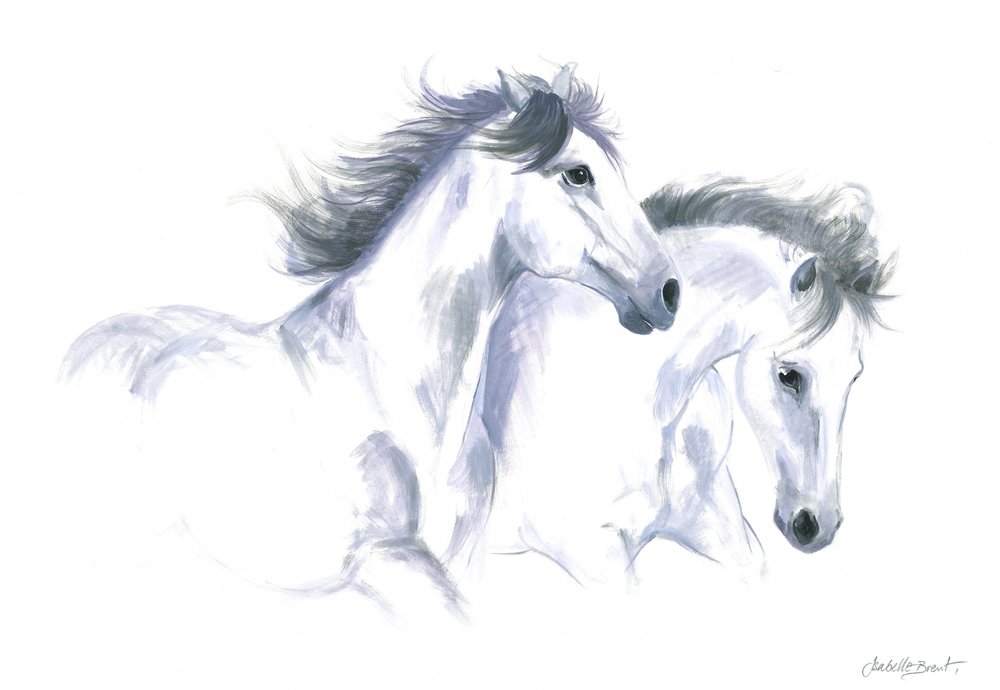 Two Horses by Isabelle Brent