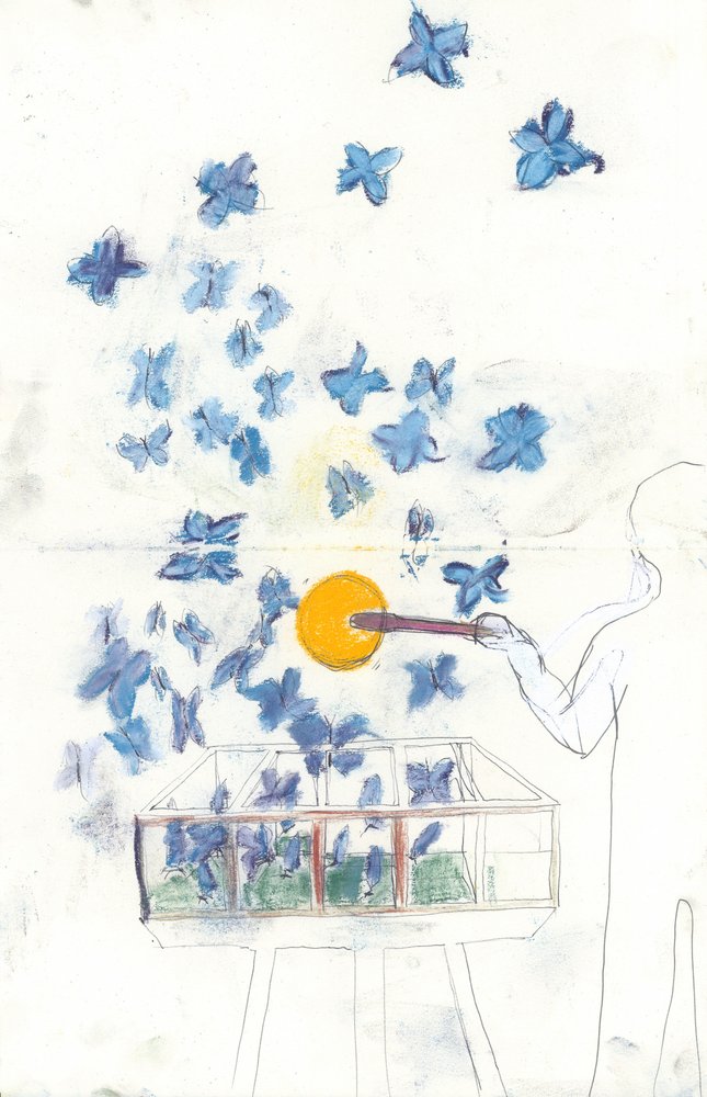 Butterfly Dreams by Jacqui Orly Ammon