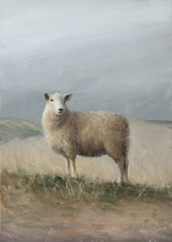 Pastoral Sheep by James Zamora