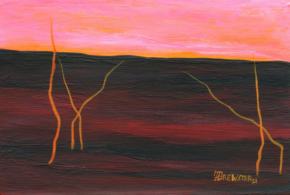 Fiery Desert Horizon by Janine Brewster