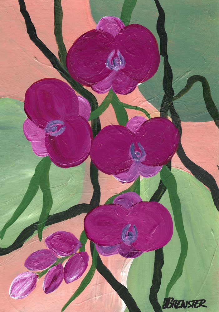 Magenta Orchid Blooms by Janine Brewster