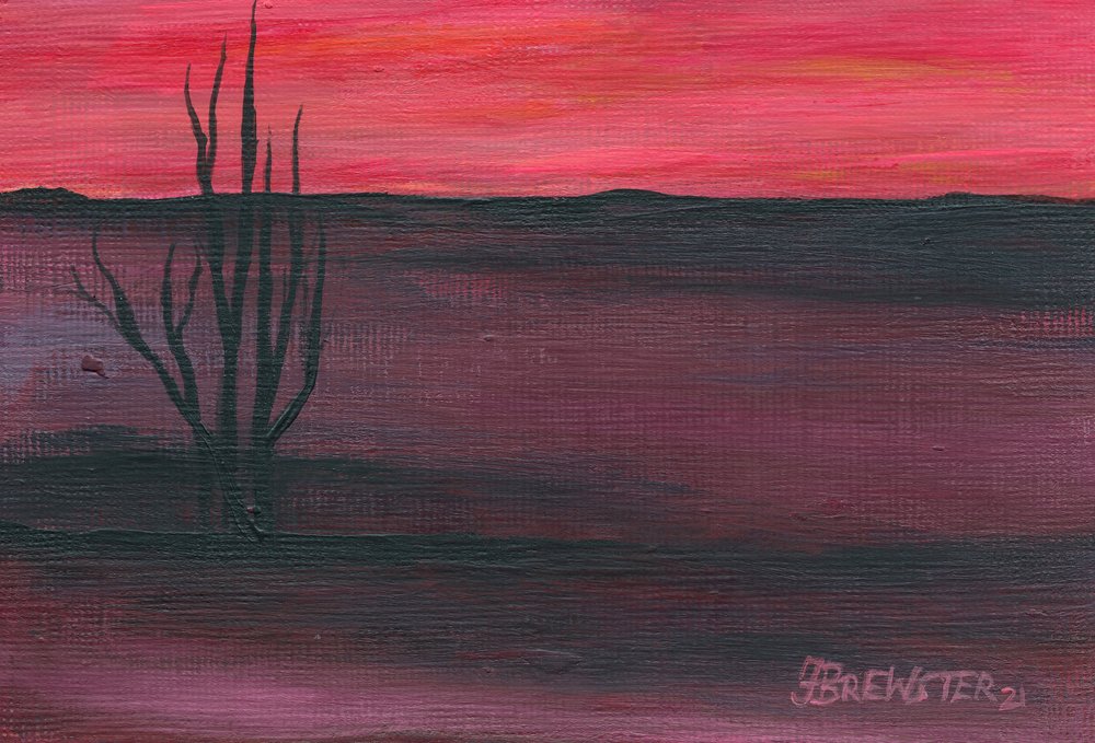 Pink Desert Twilight by Janine Brewster