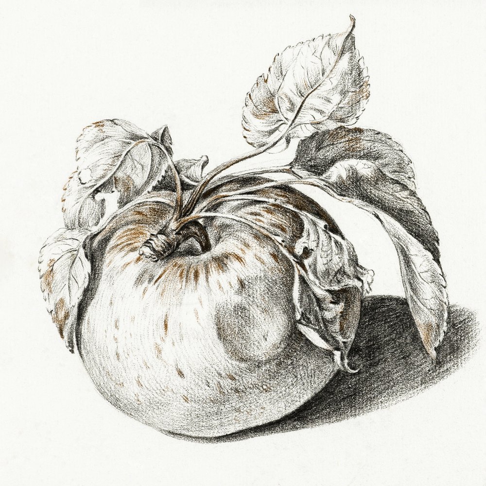 Apple by Jean Bernard