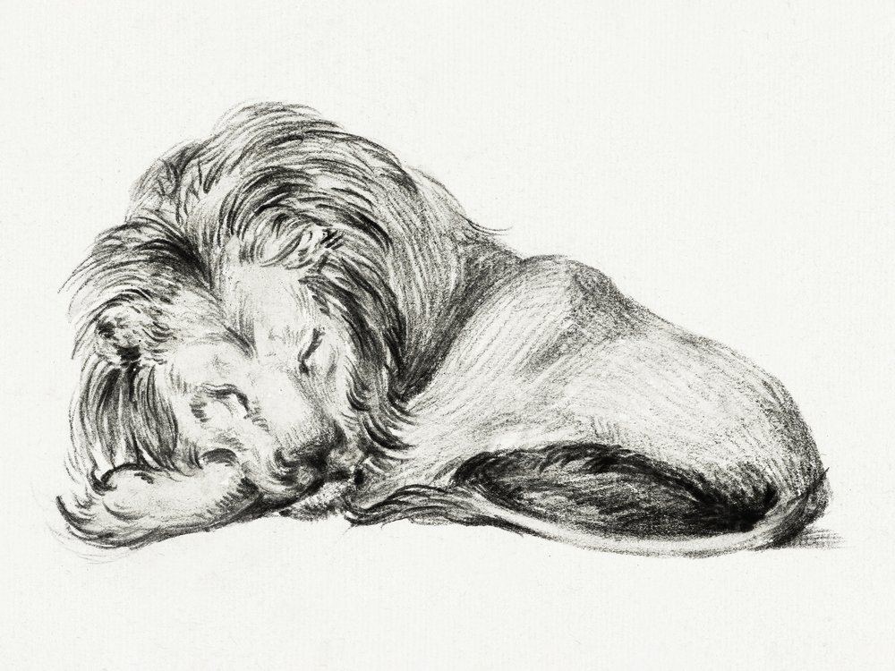 Lying Lion by Jean Bernard