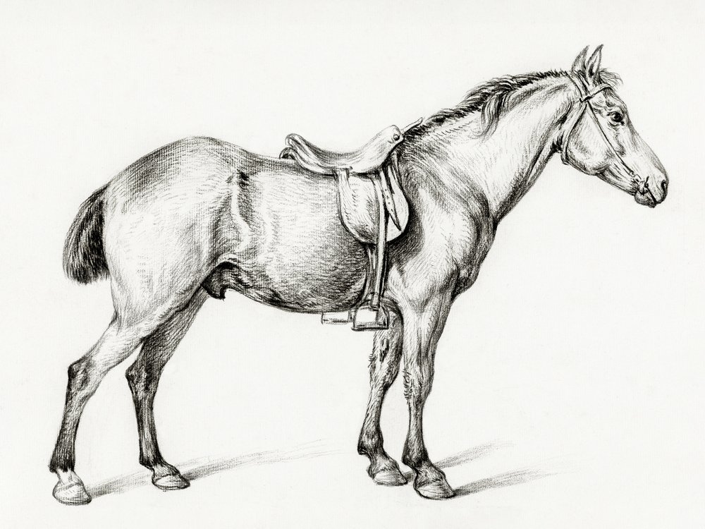 Standing Horse by Jean Bernard