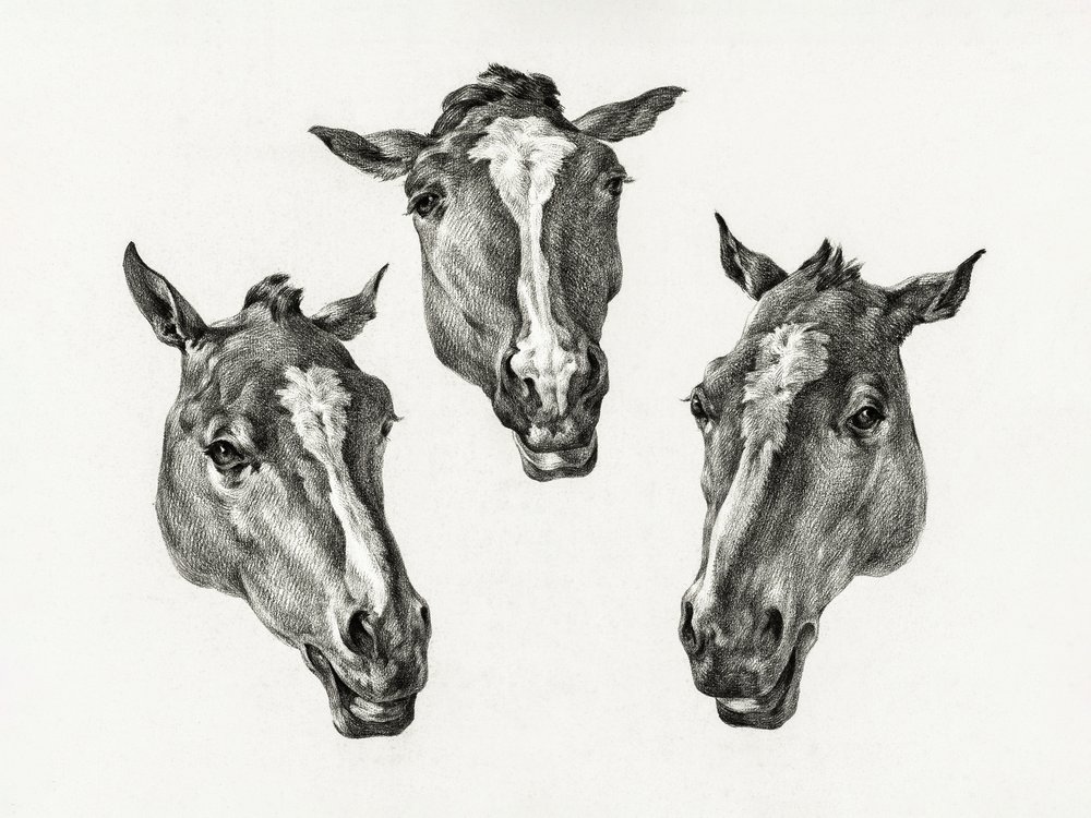 Three Horse Heads by Jean Bernard