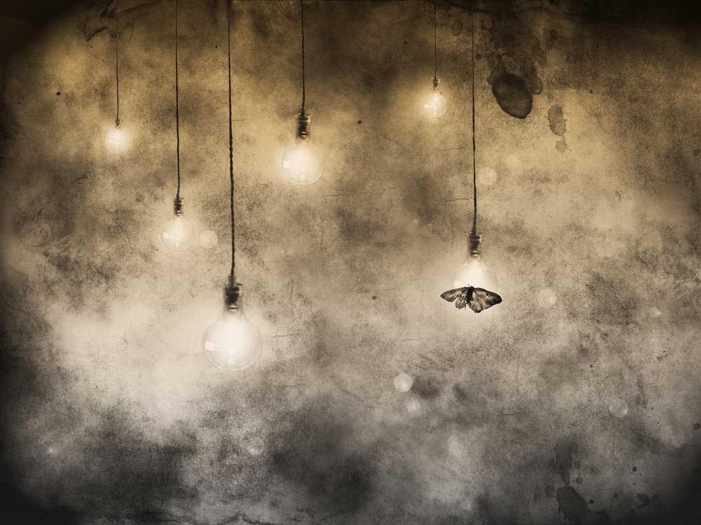 Moth And Glowing Bulbs by Jeffrey Hummel