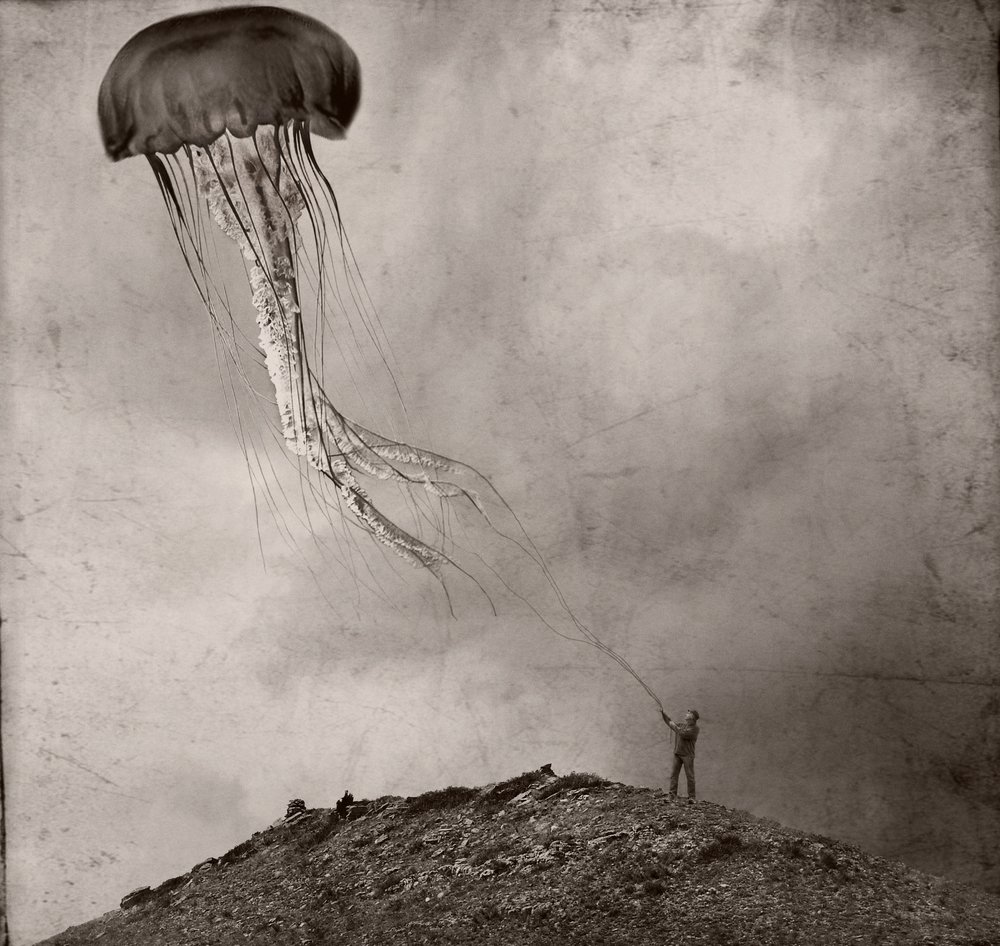 Surreal Jellyfish Kite by Jeffrey Hummel