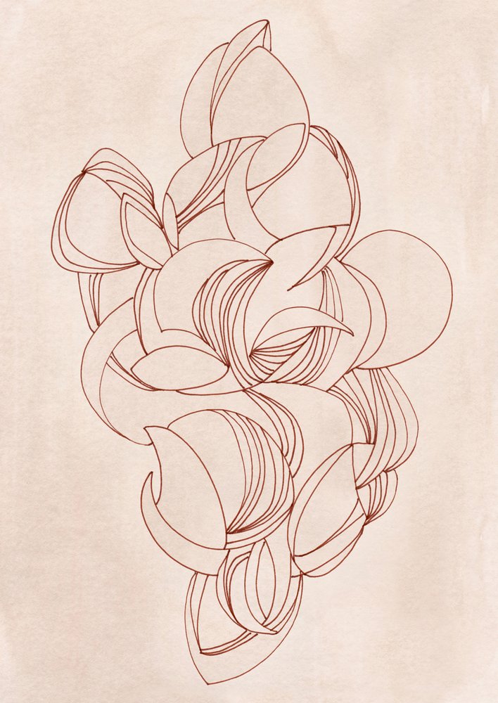Elegant Flowing Curves by Jenja Braun