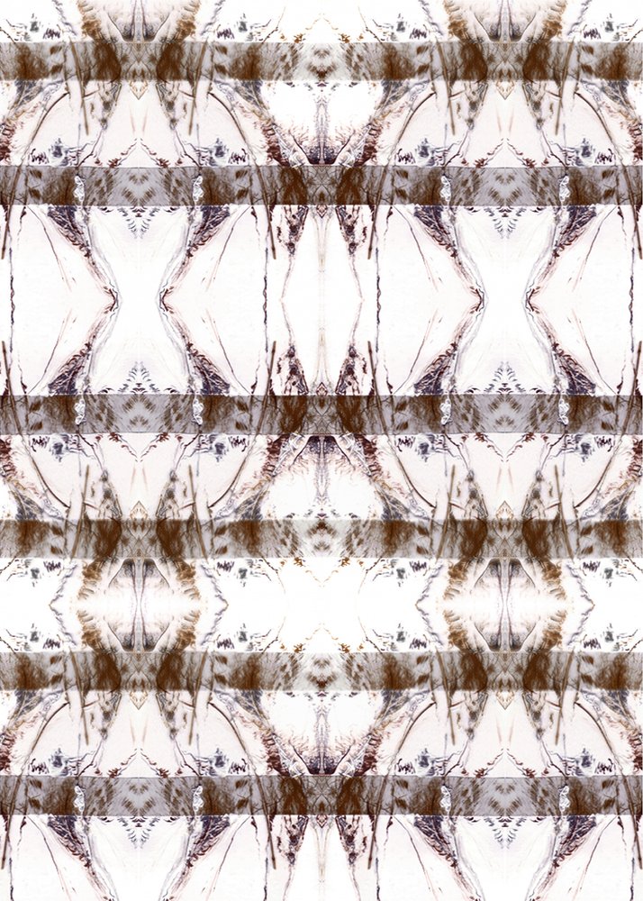 Organic Symmetrical Pattern by Jenja Braun