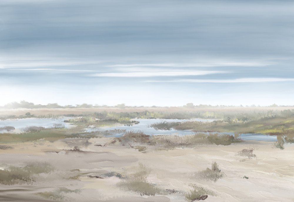 Misty Wetland Landscape by Jenna Alheit